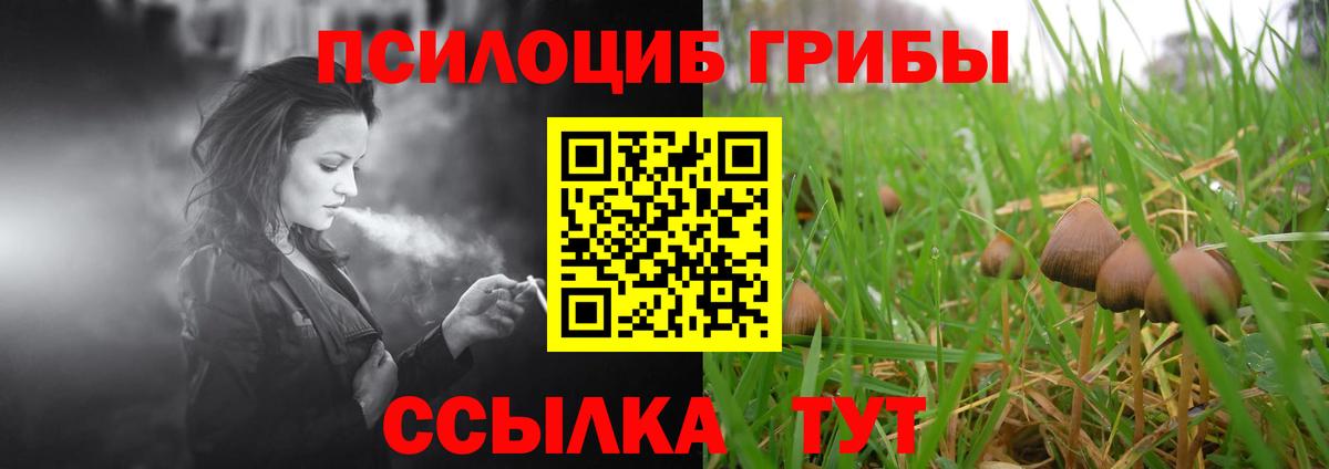 Галлюциногенные грибы GOLDEN TEACHER  Вход с VPN  Чистополь 